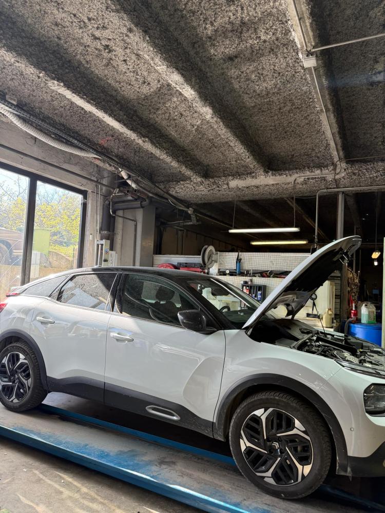 94e65626-53a2-4a08-8557-0cec6c450827